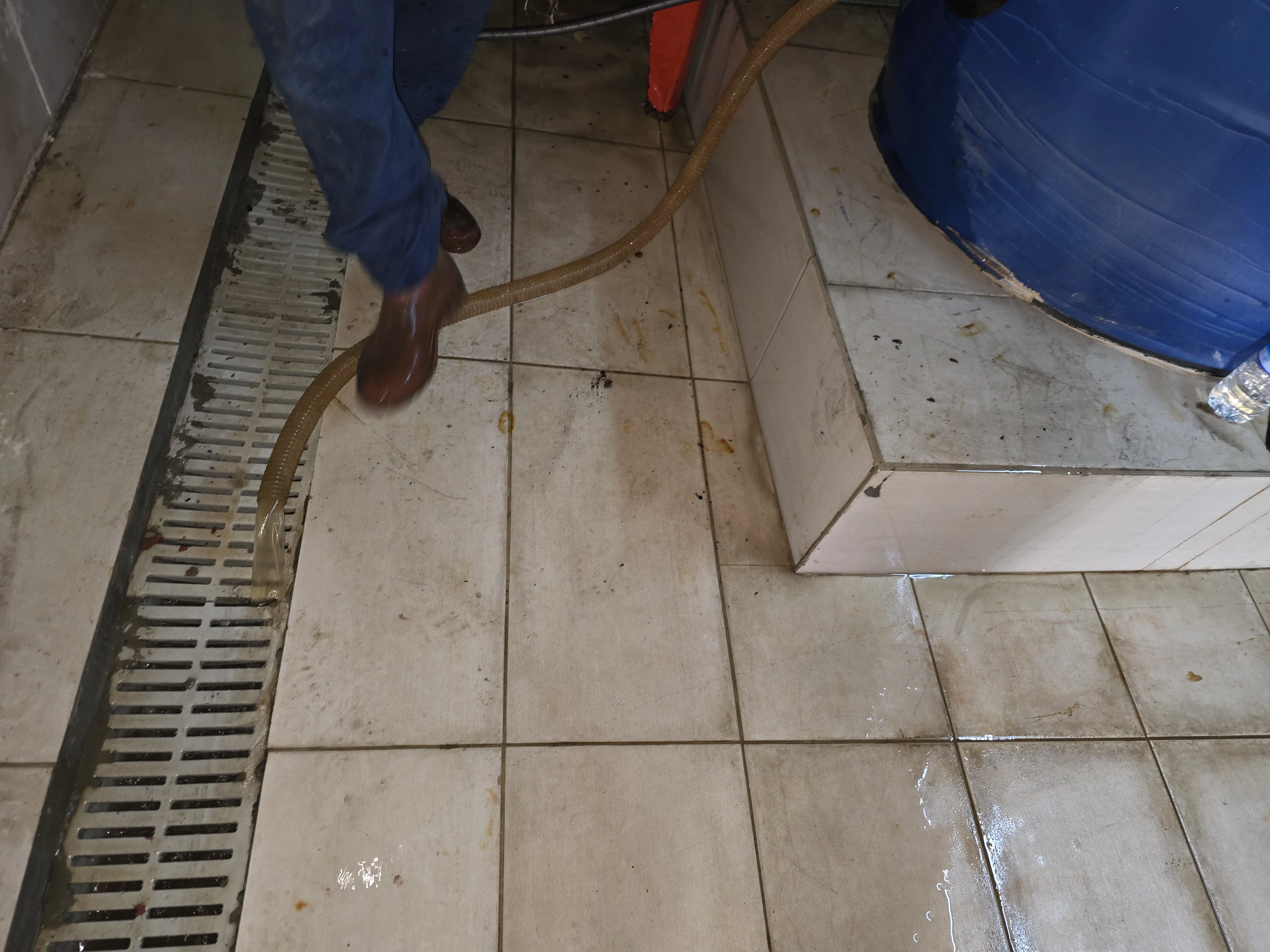 Felix Boyler Servisi